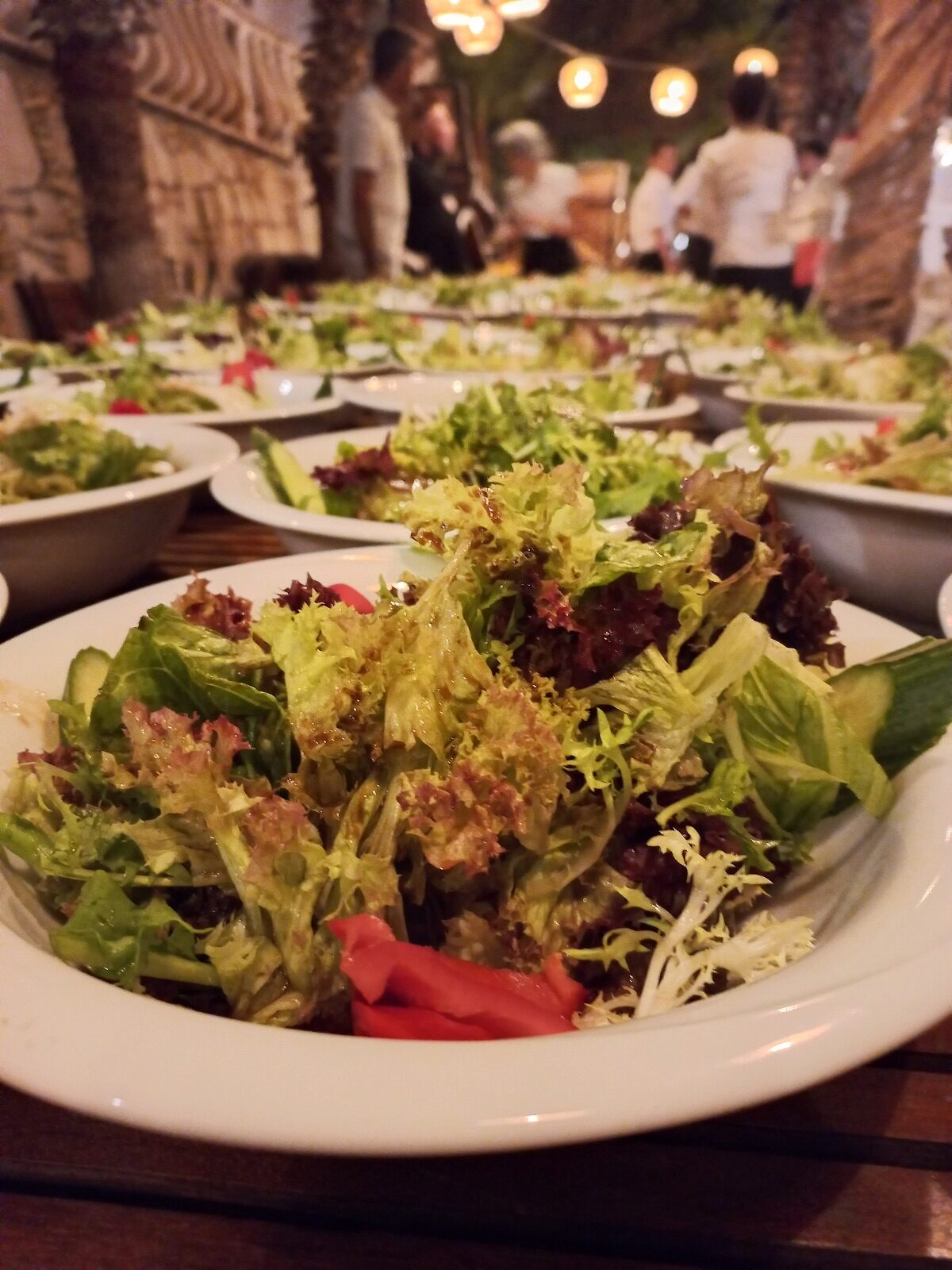 WhatsApp Image 2025-04-05 at 15.53.43